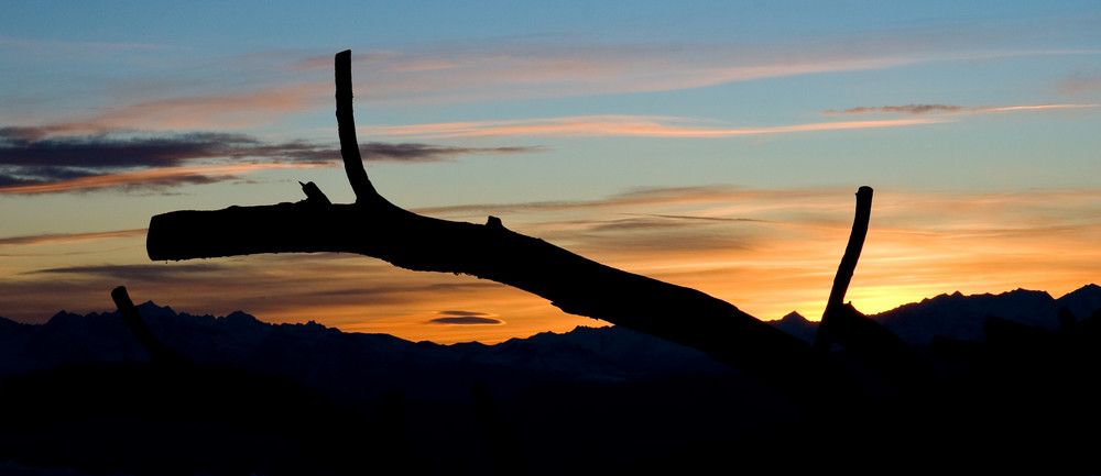 Einsamer Baumstamm - Sonnenuntergang Dolomiten