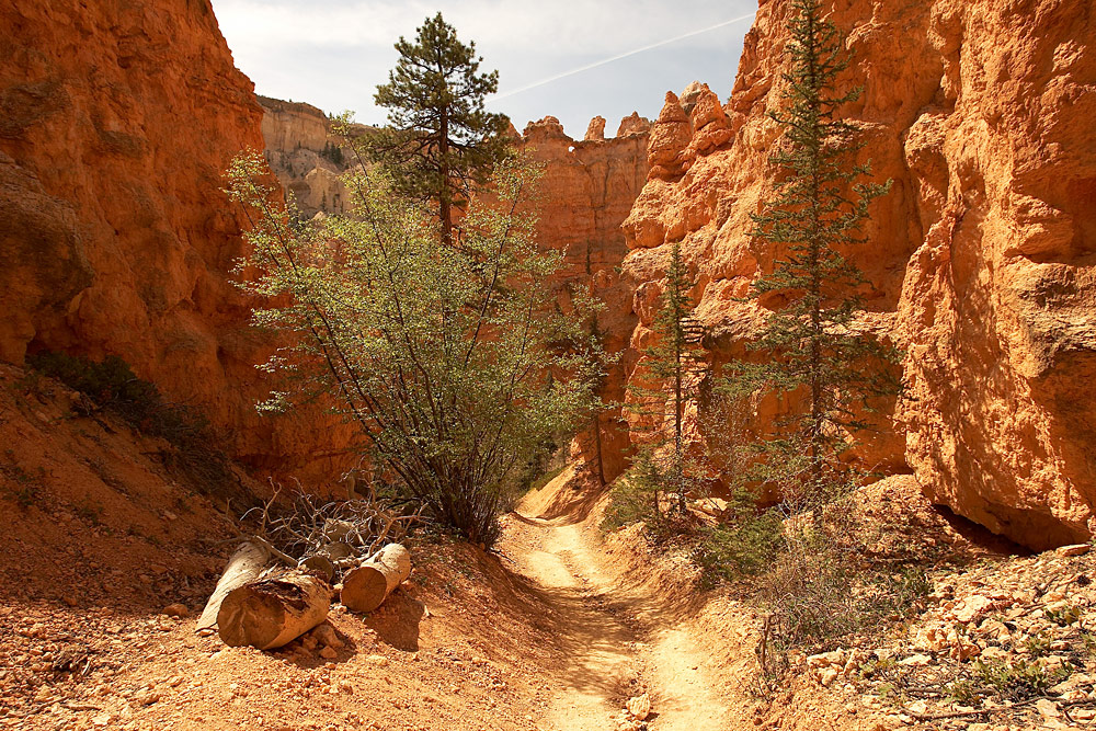 Einsamer Canyon