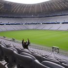 einsamer Fan in der Allianz Arena