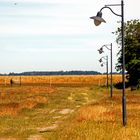 Einsamer Feldweg auf Hiddensee