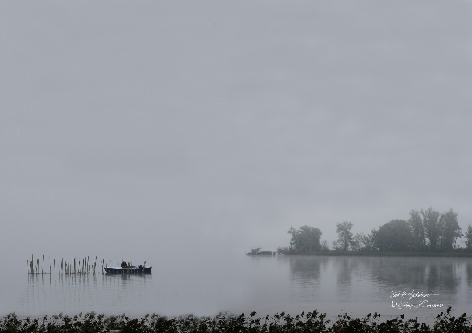 Einsamer Fischer bei Nebel auf dem Ammersee