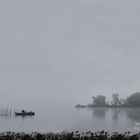Einsamer Fischer bei Nebel auf dem Ammersee
