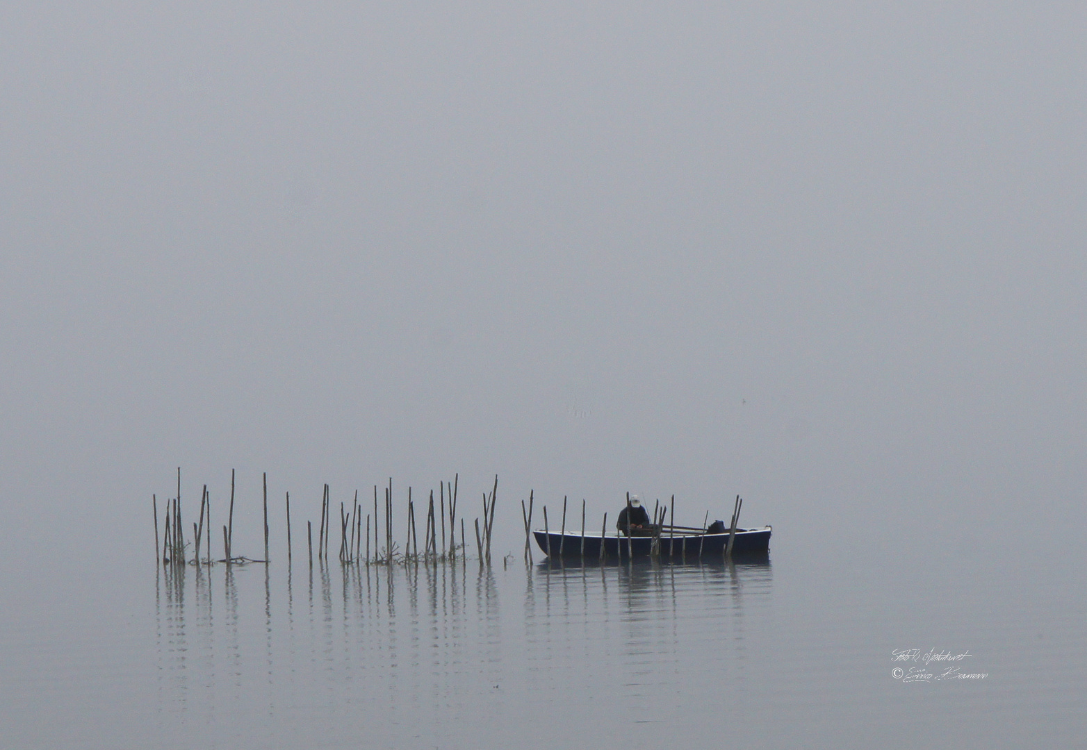 Einsamer Fischer fischt im Nebel