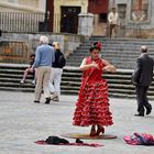 Einsamer Flamenco in Cadiz