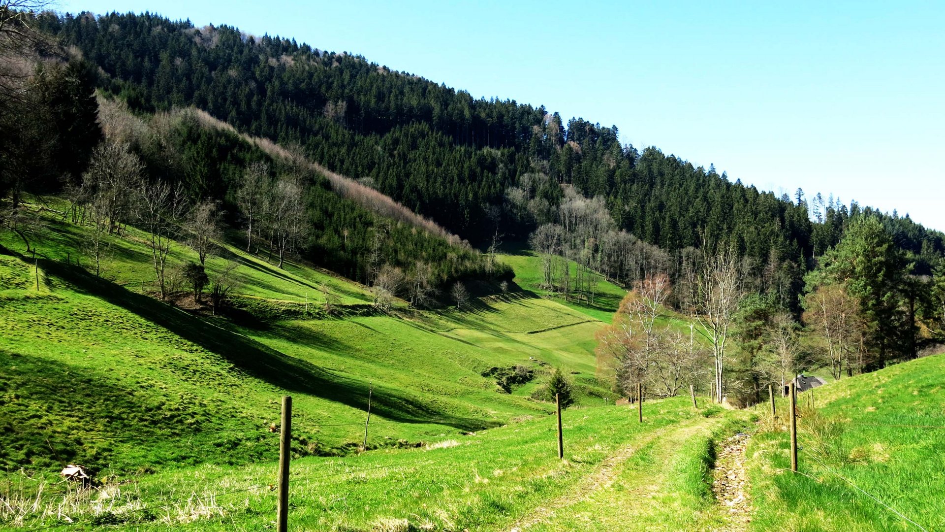 Einsamer Gang im Tal