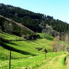 Einsamer Gang im Tal