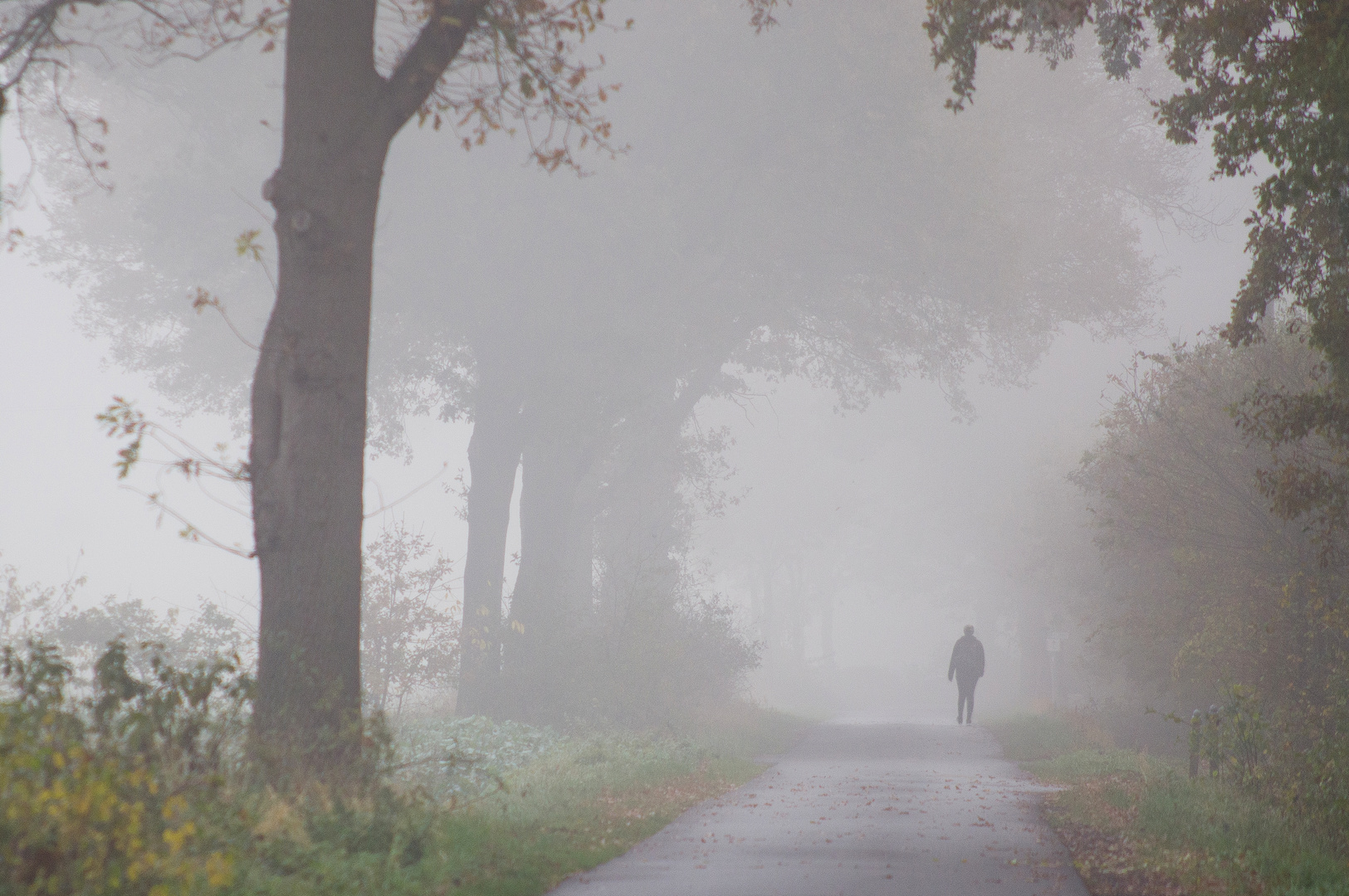 einsamer Gang in den Novembernebel