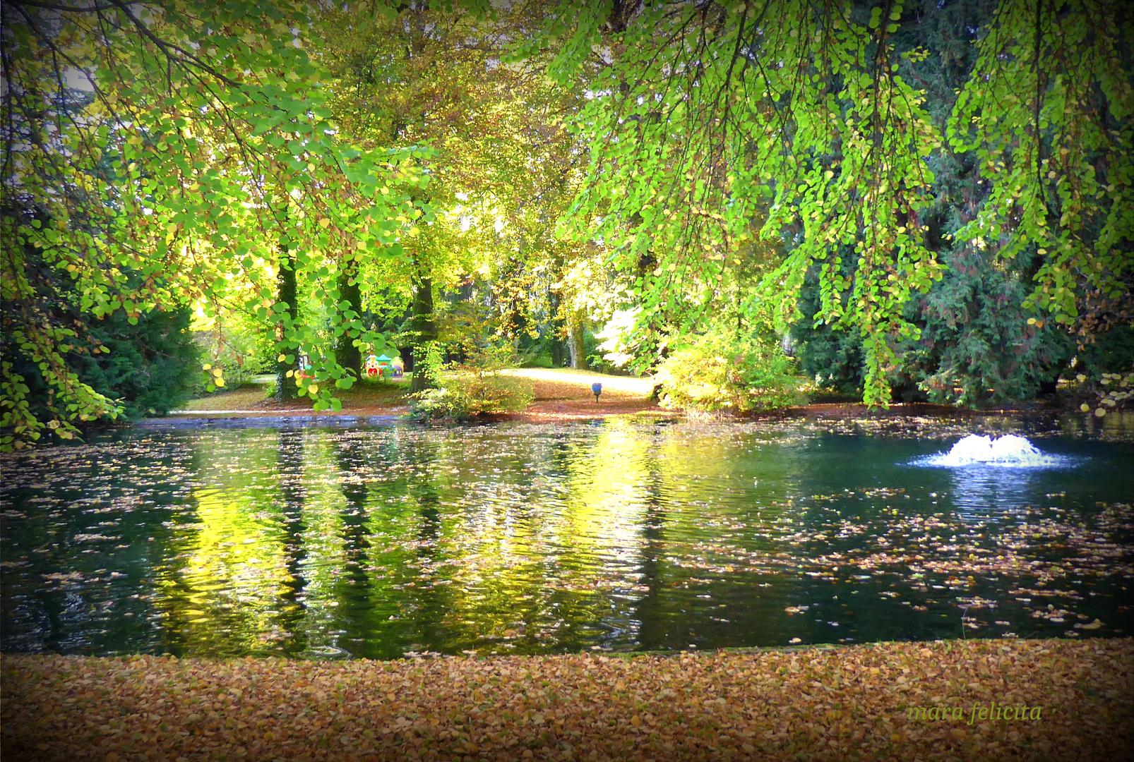 EINSAMER HERBSTTAG IM PARK