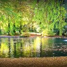 EINSAMER HERBSTTAG IM PARK