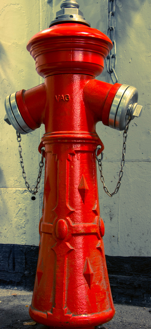 Einsamer Hydrant