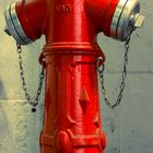 Einsamer Hydrant