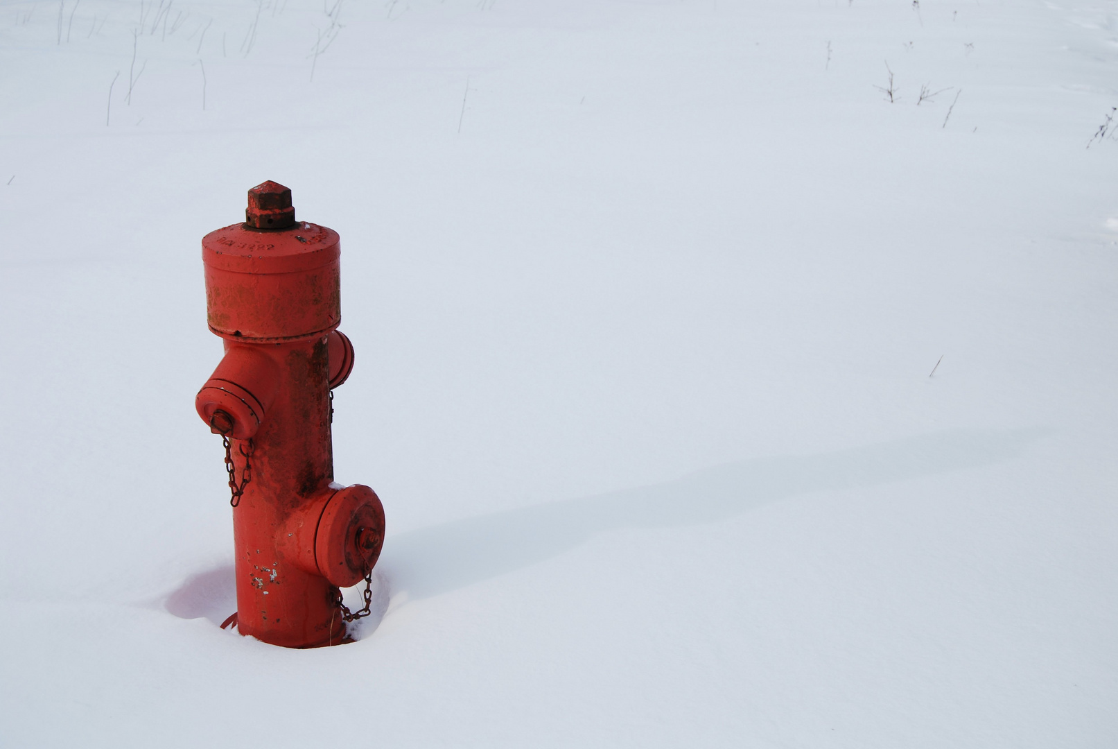 einsamer Hydrant