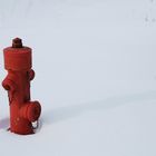 einsamer Hydrant