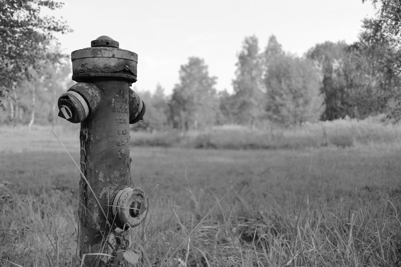 Einsamer Hydrant