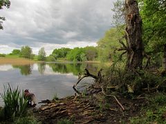 Einsamer kleiner Mönchsee