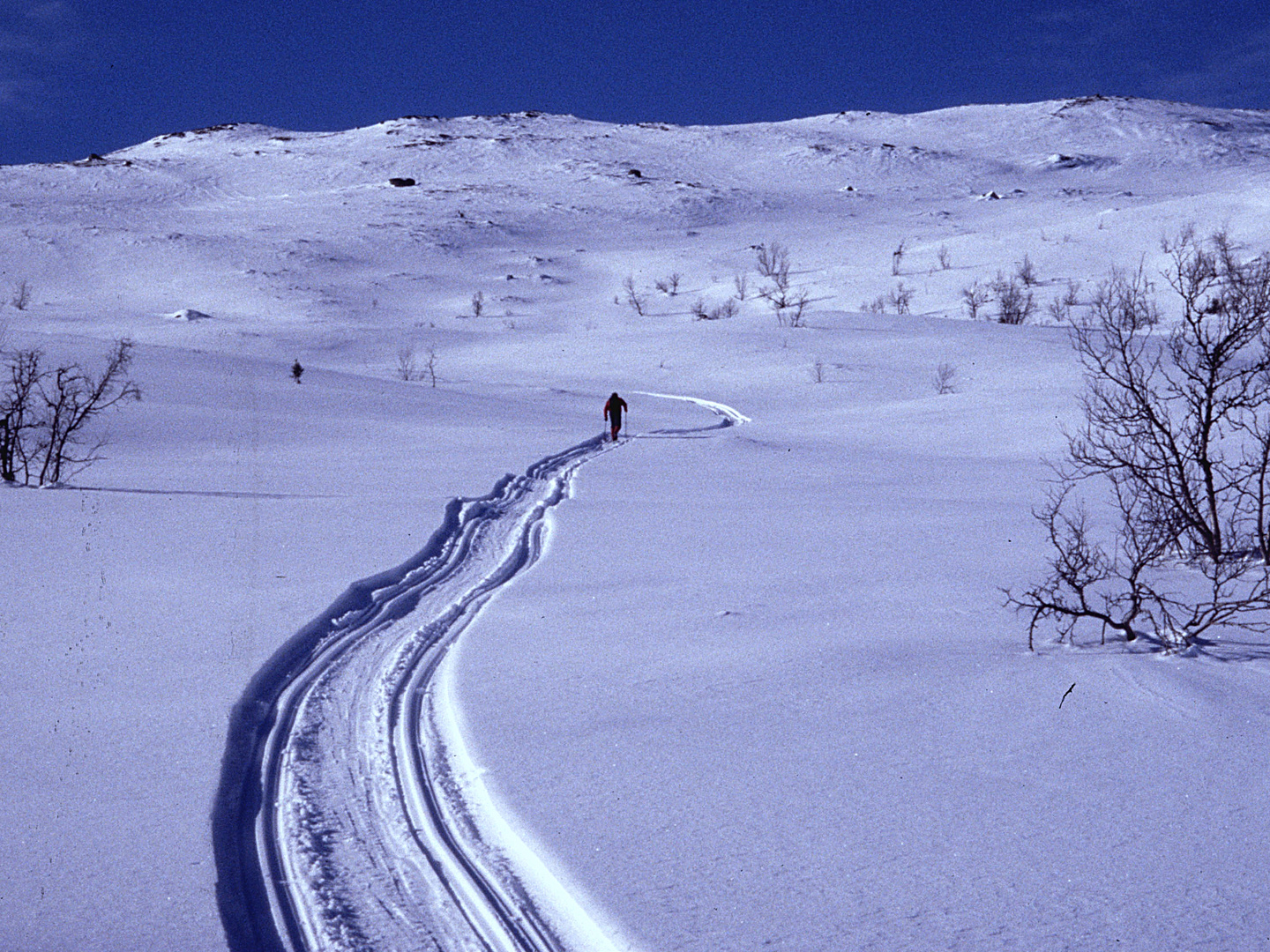 Einsamer Läufer in der weiten Winterwelt Norwegens