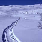 Einsamer Läufer in der weiten Winterwelt Norwegens