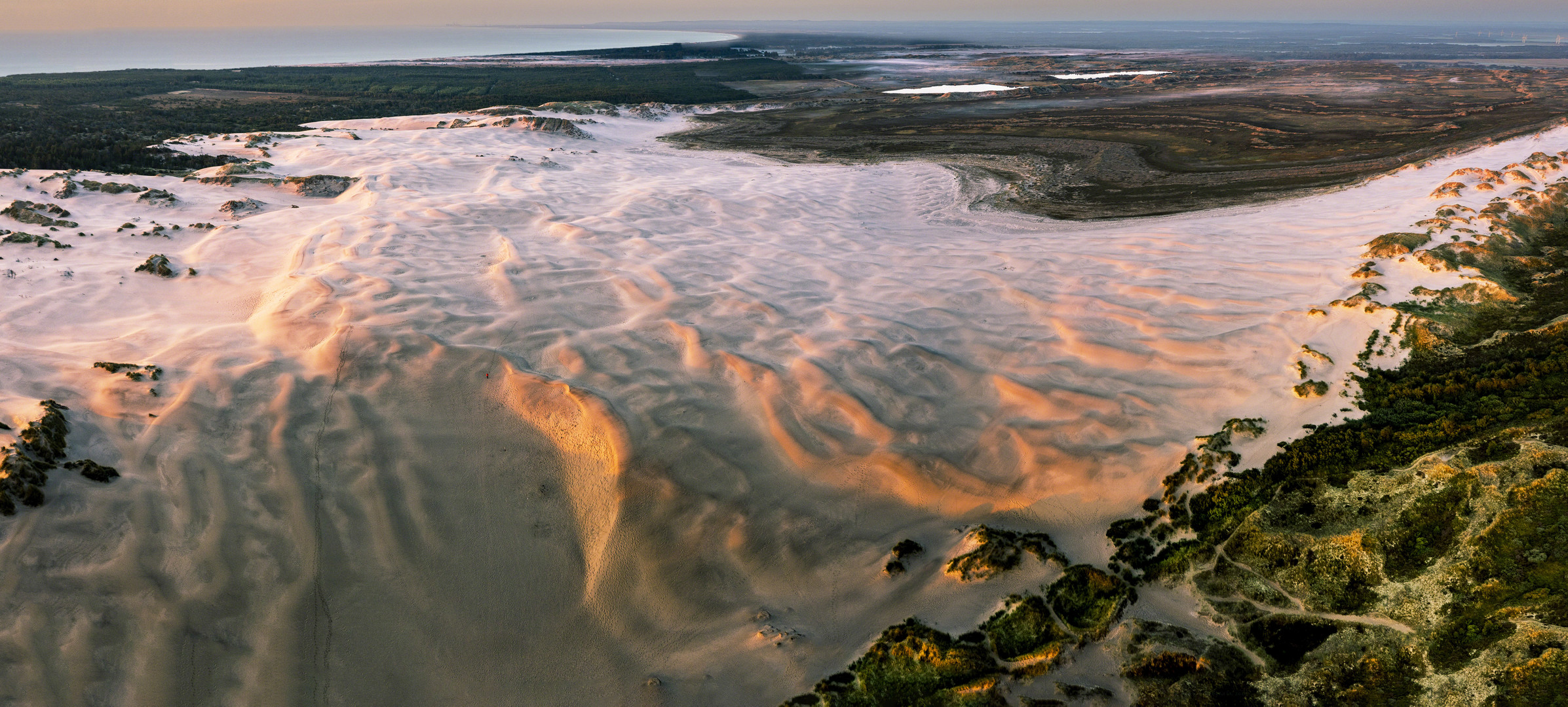 Einsamer Morgenspaziergang in der Wanderdüne Råbjerg Mile