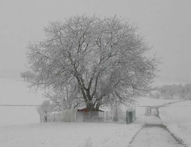 Einsamer nie 27.02.2004