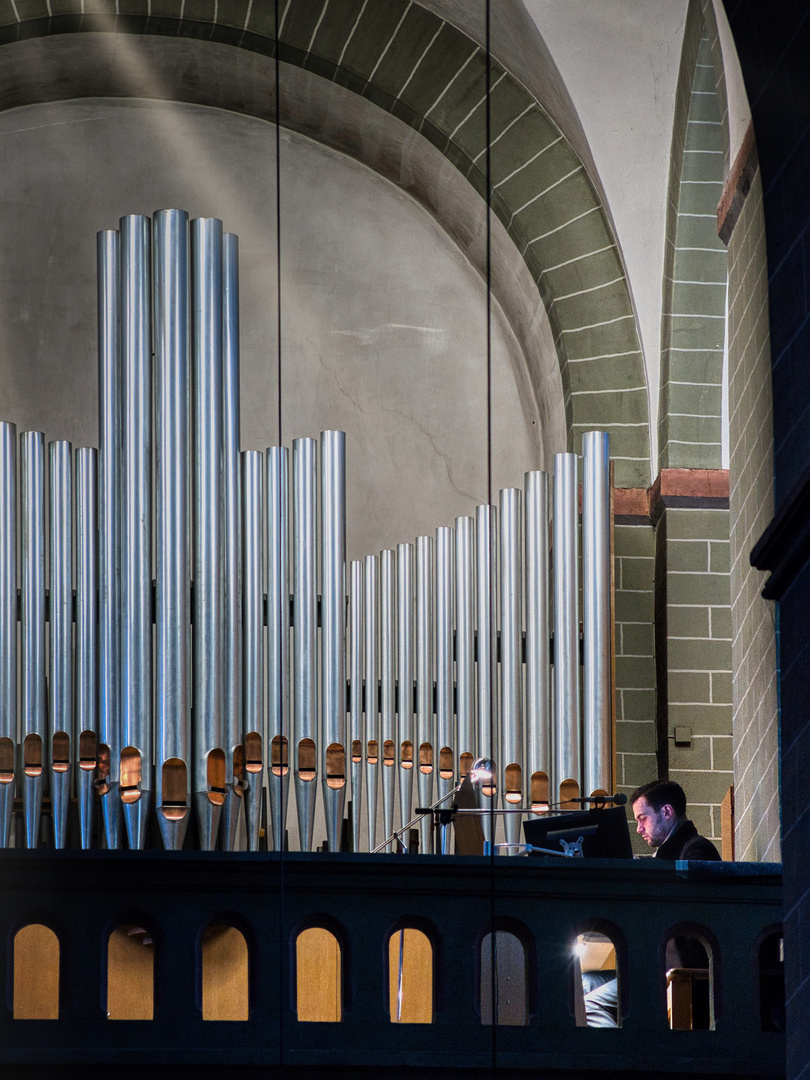 Einsamer Organist