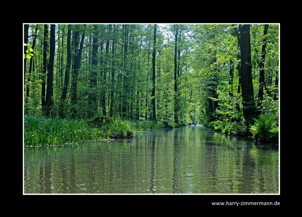 einsamer Paddler