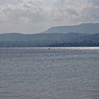 Einsamer Paddler auf dem Zürichsee