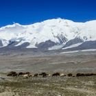 Einsamer Pamir