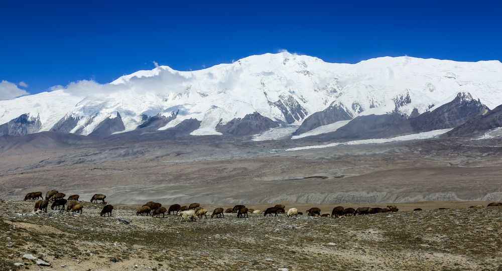 Einsamer Pamir