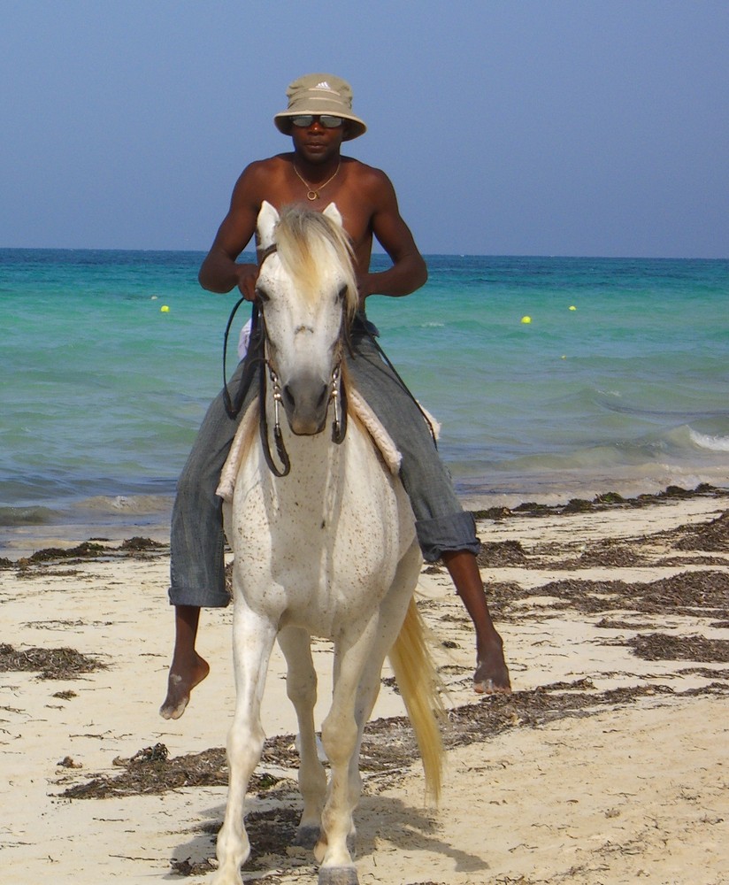 Einsamer Reiter am Strand von Djerba