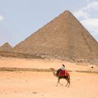 Einsamer Reiter in Giza...