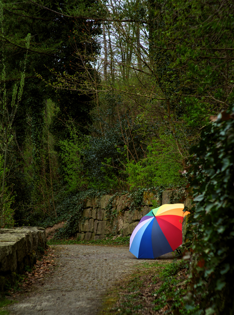 Einsamer Schirm im Westpark