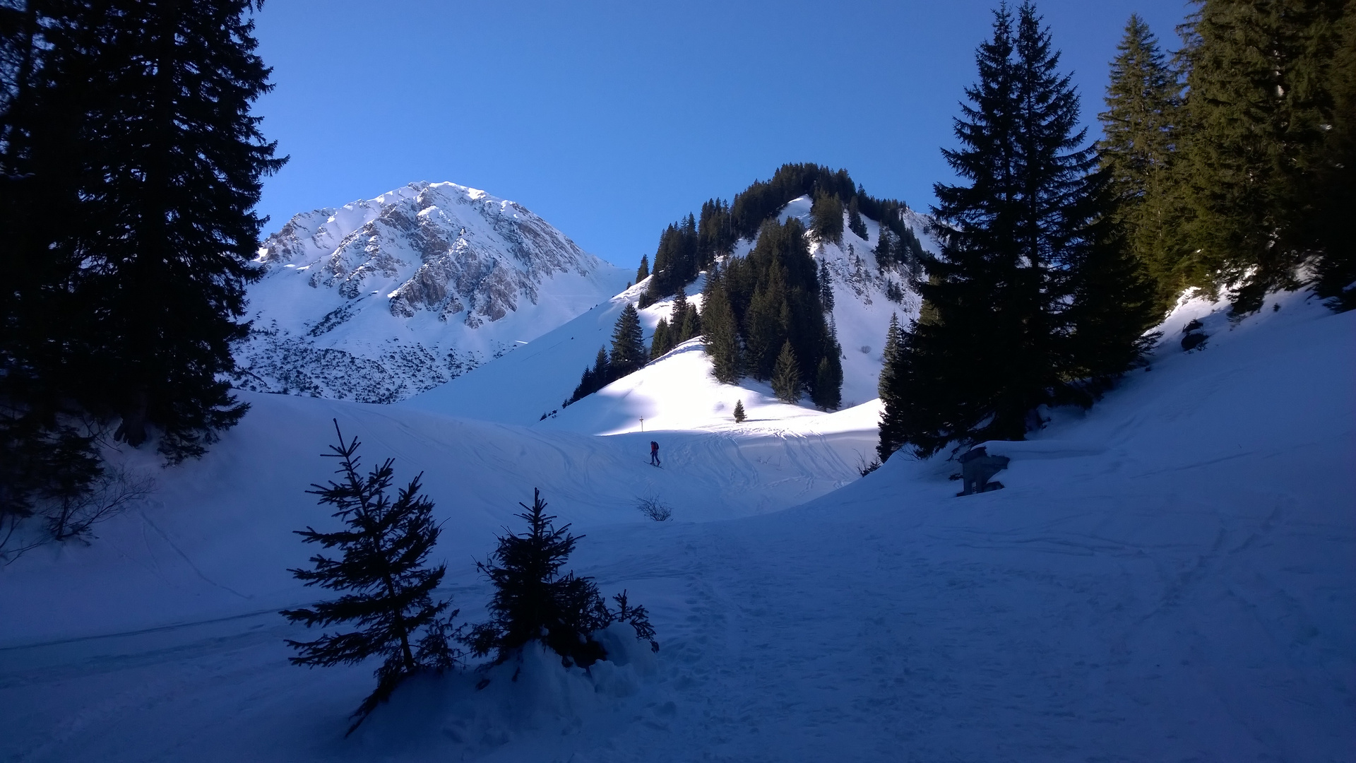 Einsamer Schneeschuh-Geher