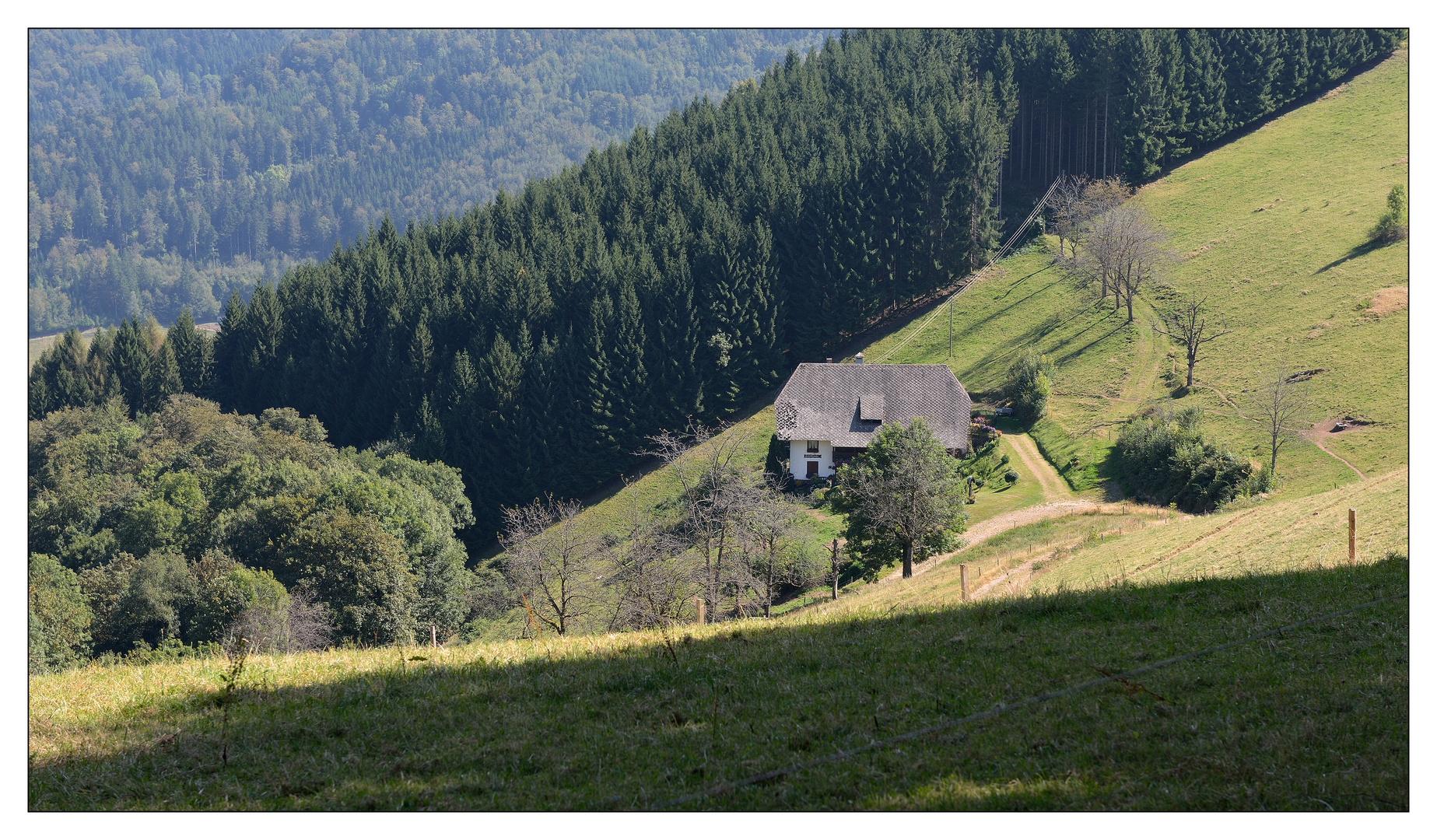 Einsamer Schwarzwaldhof