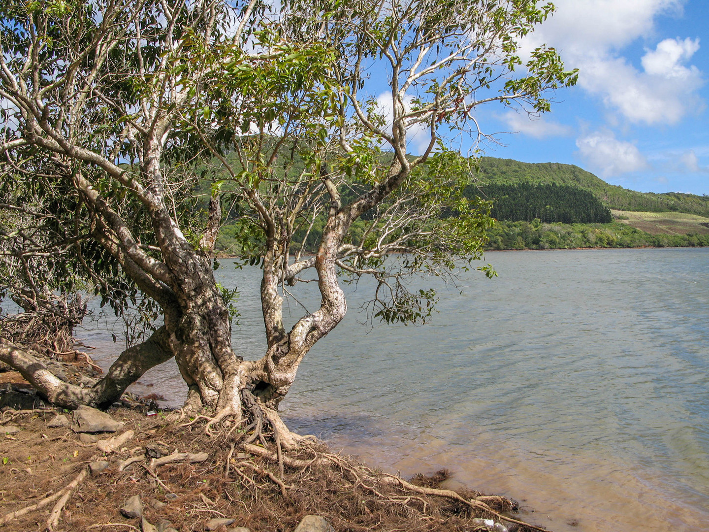 Einsamer See