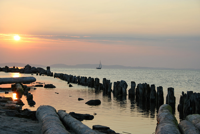 Einsamer Segler auf dem Großen Jasmunder Bodden