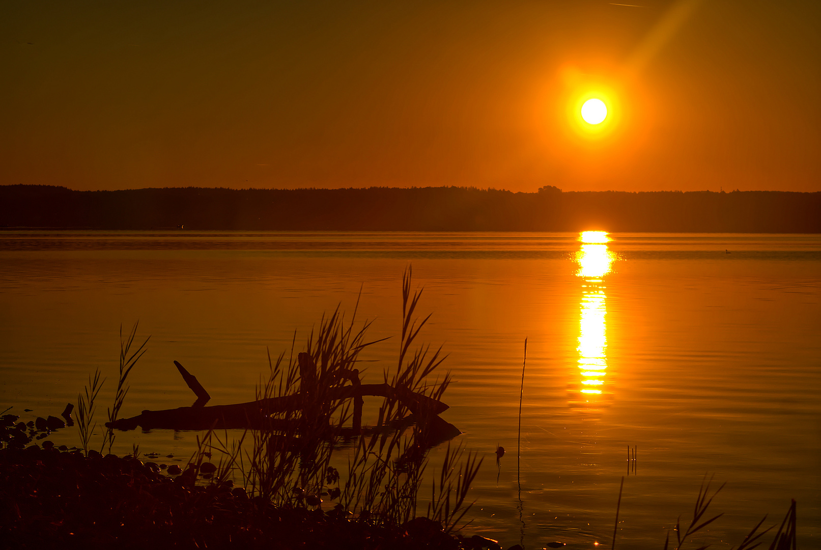 Einsamer Sommermorgen am Starnberger See.