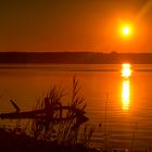 Einsamer Sommermorgen am Starnberger See.