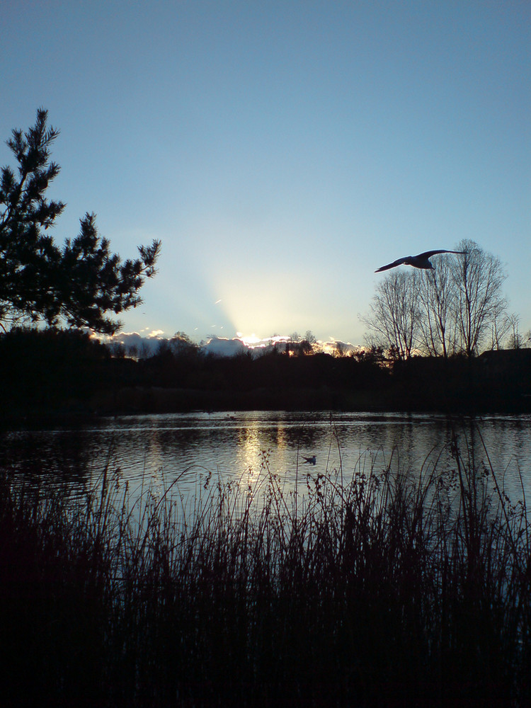 Einsamer Sonnenuntergang