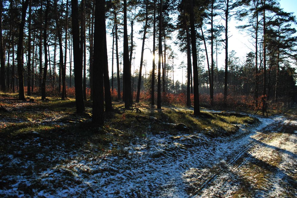 einsamer Sonntagsspaziergang