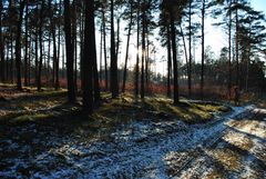 einsamer Sonntagsspaziergang