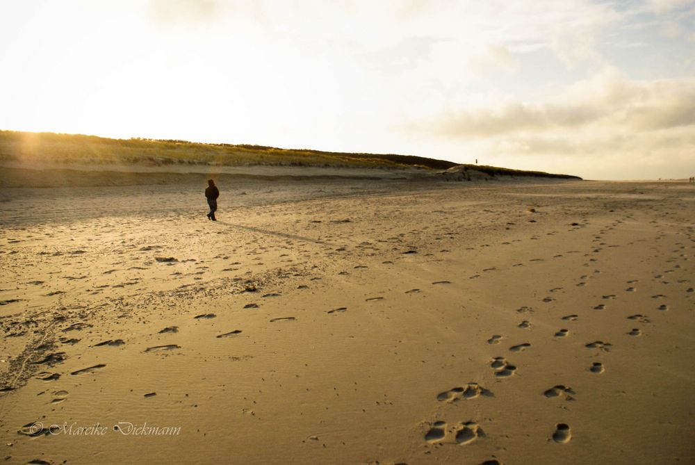 Einsamer Spaziergänger am goldenen Strand auf Spiekeroog