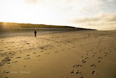 Einsamer Spaziergänger am goldenen Strand auf Spiekeroog
