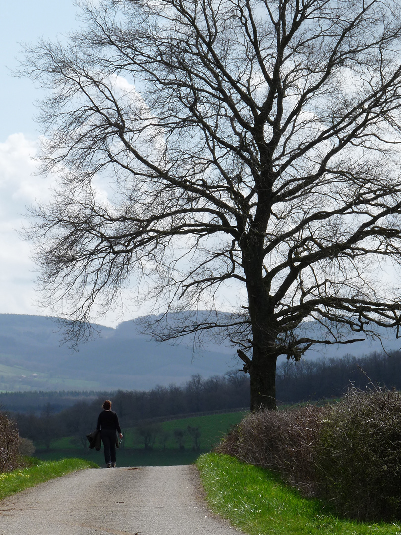 Einsamer Spaziergang