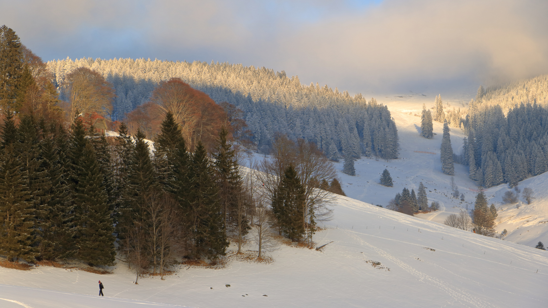 Einsamer Spaziergang