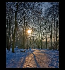 Einsamer Spaziergang.