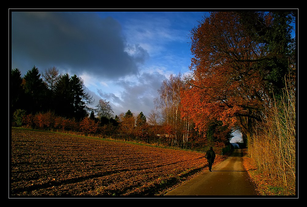 Einsamer Spaziergang....