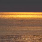Einsamer Sportangler auf dem vom Sonnenuntergang gefärbten Meer.