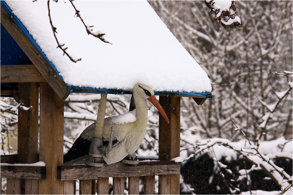 Einsamer Storch im winterlichen Frühling