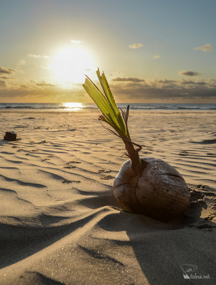 Einsamer Strand