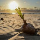 Einsamer Strand